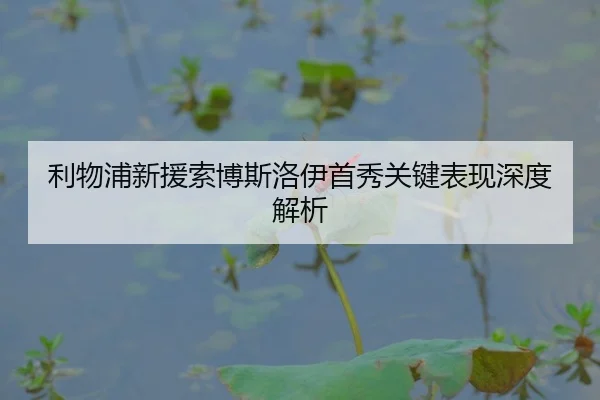 利物浦新援索博斯洛伊首秀关键表现深度解析